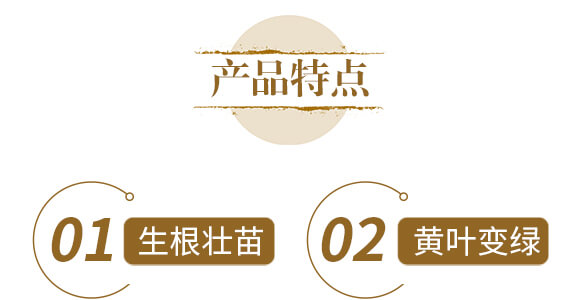 ��ˎ�ĠI�B(y��ng)���a-����ֲ��ˮ�ܷ�-�����r��_05