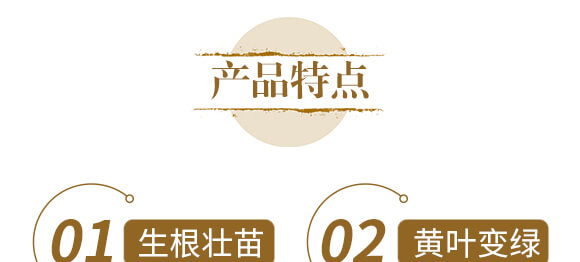 ��ˎ�����߮��w����-����ֲ��ˮ�ܷ�-�����r(n��ng)��_05