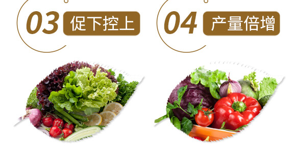 ��ˎ�����߮��w����-����ֲ��ˮ�ܷ�-�����r(n��ng)��_07