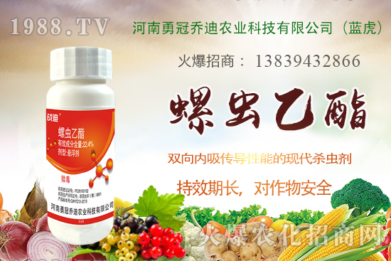 ���x(ch��ng)���r(ji��)��