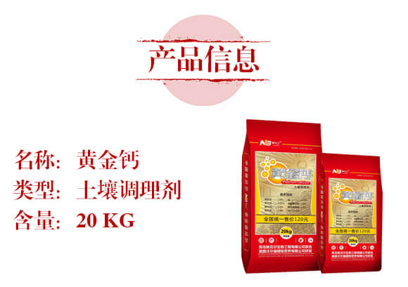 �����{(di��o)�턩-�S���}-��ؐ��_02