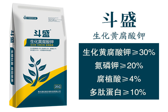 �����S�����-��ʢ-�����S_02