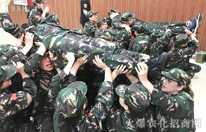 用心感悟,用心收獲!