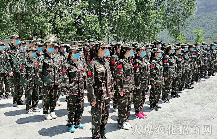 聚是一團(tuán)火,散是滿天星