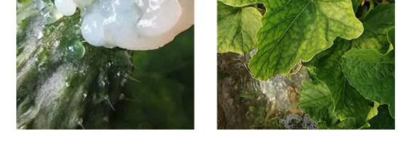 �r(n��ng)��ڈ@���＼�g���޹�˾1_10