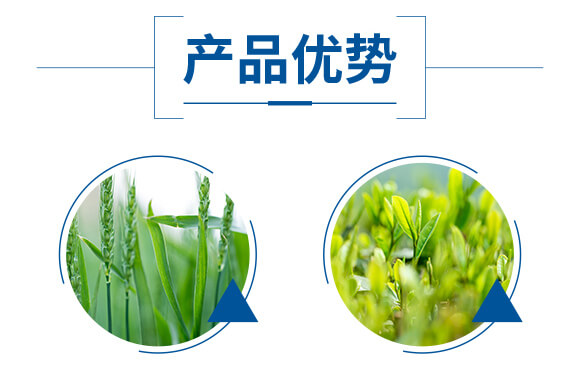 酶解魚蛋白溶漿(瓶)-優(yōu)米卡-爵利_05