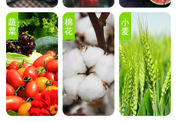 ���u��������Ƽ����޹�˾�a(ch��n)ƷԔ���(y��)2_05