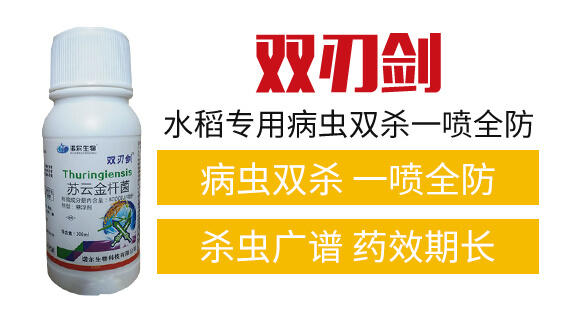 �p�Є�-�Z������_02