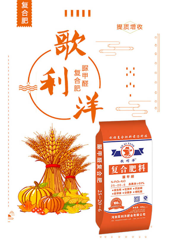 ���ȩ��(f��)�Ϸ���25-20-6-������_01