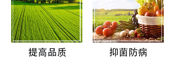 �׷����־���-�۟oۙ-�T�__08