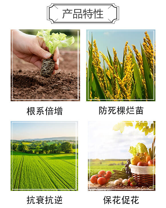 ���ǹȰ���΢�������-����_(d��)03