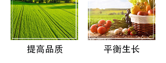 �׷����־���-�۟oۙ-�T�_(d��)_08