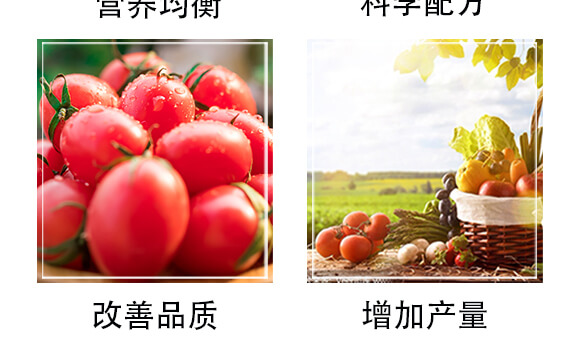 �����ЙC(j��)�ʣ��t��-�S�r(n��ng)_05