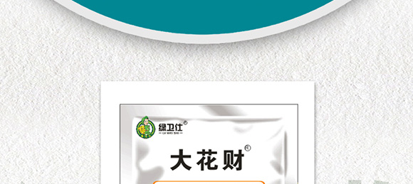 �����ٻ���ᘷ�辄�-��ؔ-�G������_02