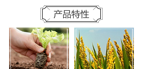 �׷����־���-�۟o(w��)ۙ-�T�_(d��)_06