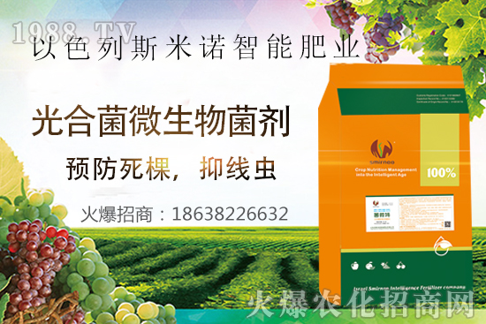 ���Y(ji��)���xΣ����̫�y��������΢�ء����æ�����ƾ��x���x�����Ƀ���