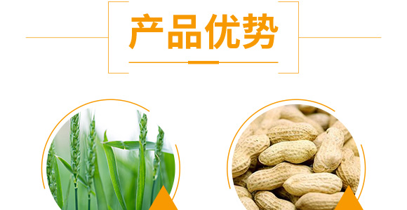 �����ٻ���ᘷ�辄�-��ؔ-�G������_05