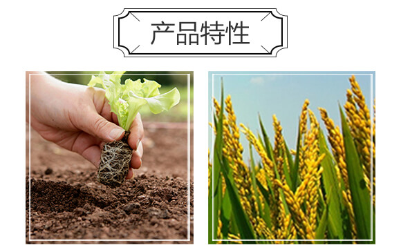 ����ˮ�ܷ�15-5-32-��̫��_04