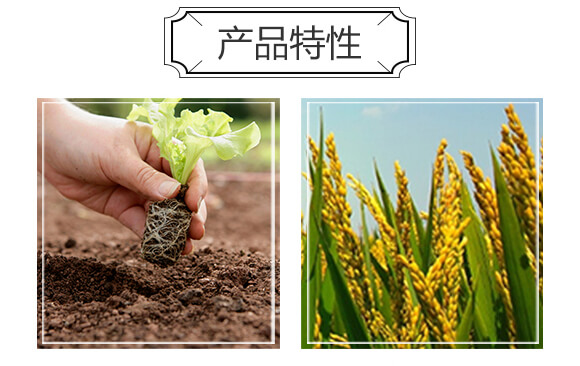 �����ЙC�ʣ��G��-�S�r_04