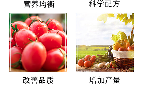 �����ЙC�ʣ��G��-�S�r_05