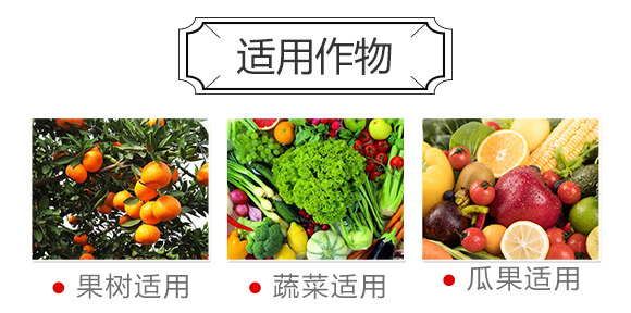 ���ǹȰ���΢�������-����_(d��)04