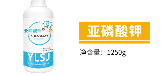 �׷����־���-�۟oۙ-�T�__05