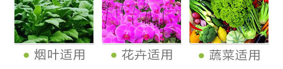 量子光肽炭基酶-果仕奇-國(guó)豐健園_09