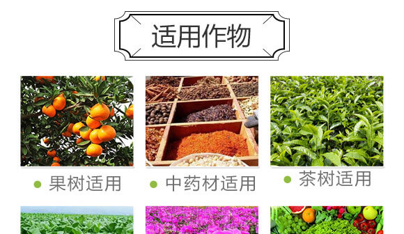 量子光肽炭基酶-果仕奇-國(guó)豐健園_08