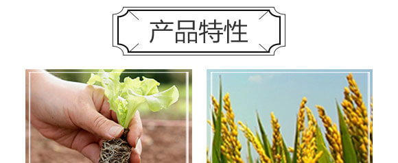 量子光肽炭基酶-果仕奇-國(guó)豐健園_04