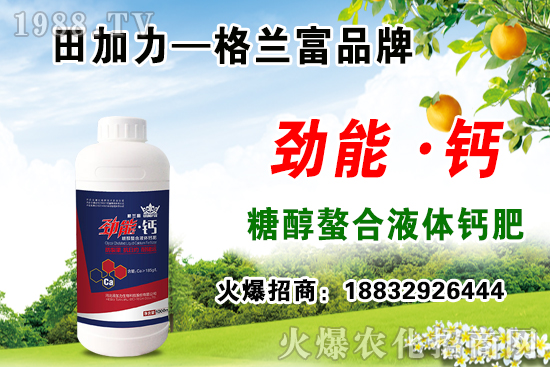 復合肥價格