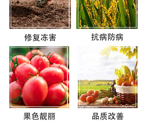 量子光肽炭基酶-果仕奇-國(guó)豐健園_05