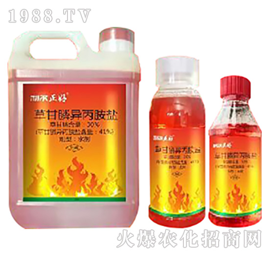 �s���y���������͏����ò�@�׿���ݮa(ch��n)Ʒ���_�����^��