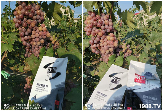 �îa(ch��n)Ʒ����������һ�t���΢������������t���͑��挍(sh��)������