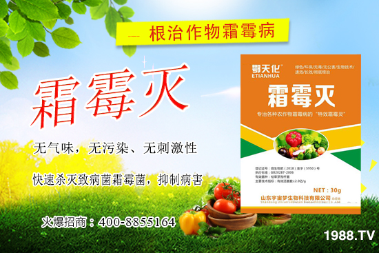 �S��˪ù����(y��n)����ô�k�����������S��˪ù����