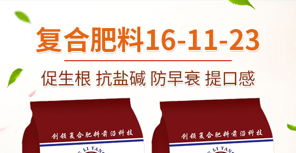 ������ͺϷ���16-11-23-������_01