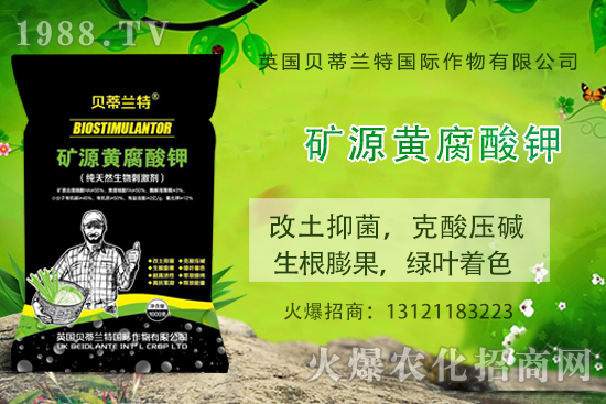 ���ÿ���ô�B(y��ng)�����ÿ��B(y��ng)ֳ������ע�����(xi��ng)��