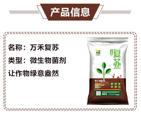 ΢�������-�f�̏�(f��)�K-�f�Ό�-�f���r(n��ng)��_03