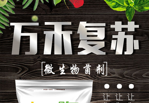 ΢�������-�f�̏�(f��)�K-�f�Ό�-�f���r(n��ng)��_01