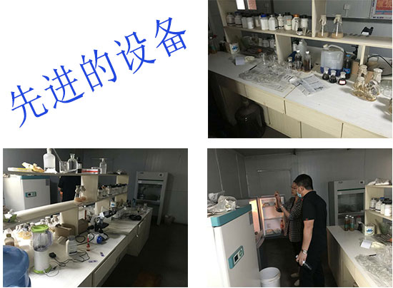 �O�����M