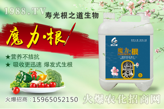 �Ҙ�ʩ����ʲô�v�����Ҙ�ʩ�ʕr�g����������ƌW(xu��)ʩ����