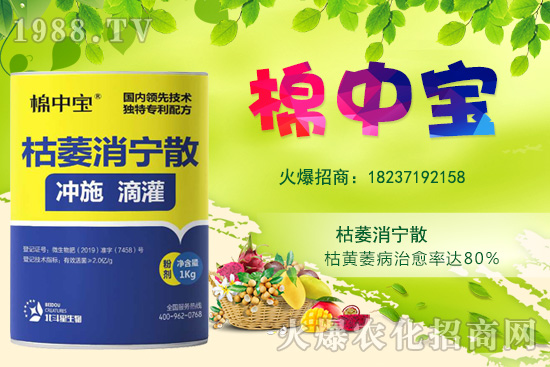 【品牌推薦】河南北斗星有什么優(yōu)勢？北斗星旗下產(chǎn)品有哪些？