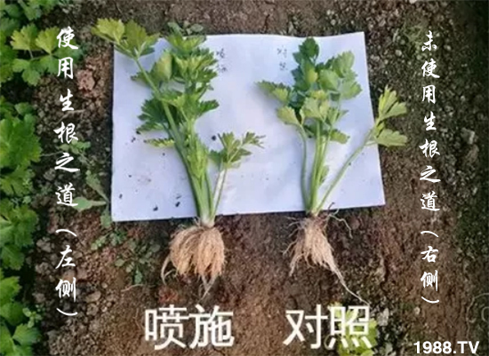 �����ϵ�����a(ch��n)���ͣ�������֮���������¸����������a(ch��n)�o�n��