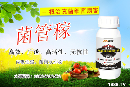 ���䝢��Σ����ʲô�����䝢�������Ά�������ˎ������Щ��