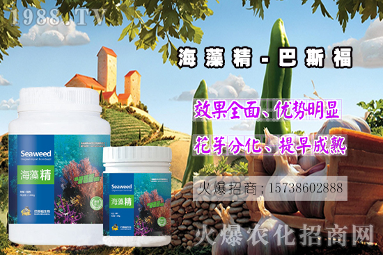  ߀���˽⺣�徫��ɶ����������out�������徫�����ж��