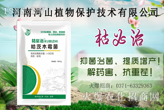 ���Ϻ�ɽֲ�ﺣ��