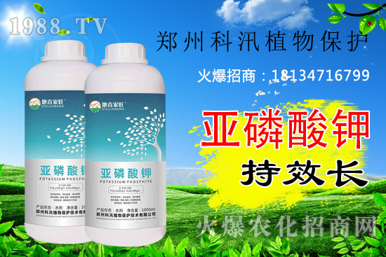 ������⛹�Ч�������C(j��)������Щ������������õĺ������