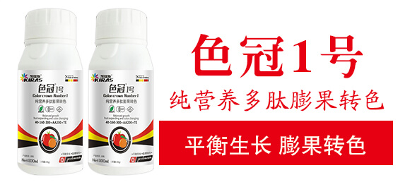 ���I�B(y��ng)��������D(zhu��n)ɫ-ɫ��1̖(h��o)-�P��˹_03