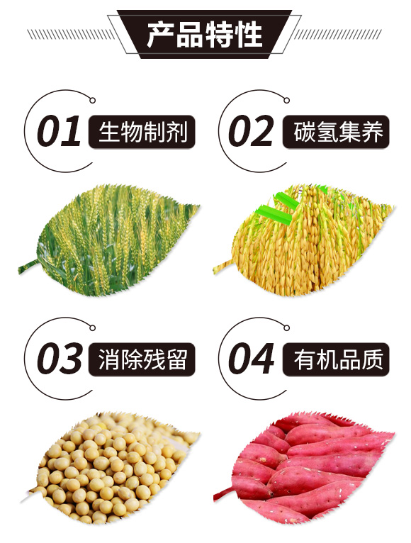 ̼��˷�-�����T-̼����H_02