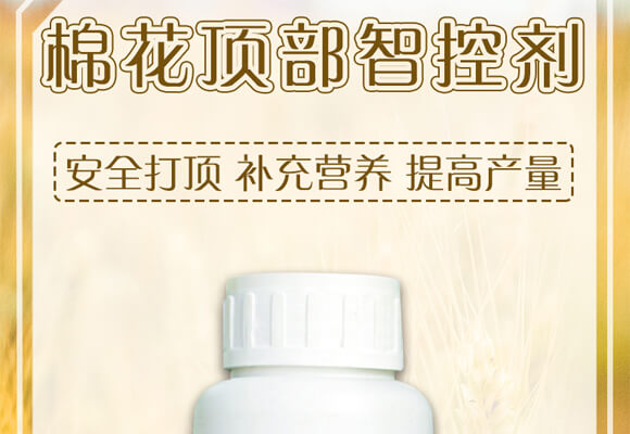 �޻�픲��ǿ؄�-���e��-������_01