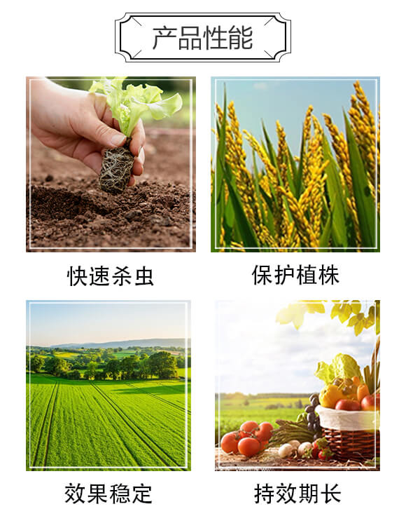 6%四聚乙醛(180克)-炸彈-凱諾生物_04